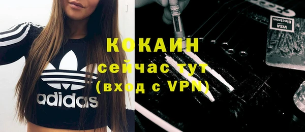 ГАЛЛЮЦИНОГЕННЫЕ ГРИБЫ Баксан